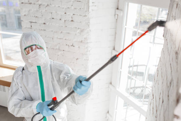 Forensic Mold Investigation in Kountze, TX